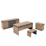 מערכת מנהלים ועבודה FIFA