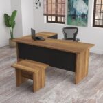 מערכת מנהלים ועבודה VEGA